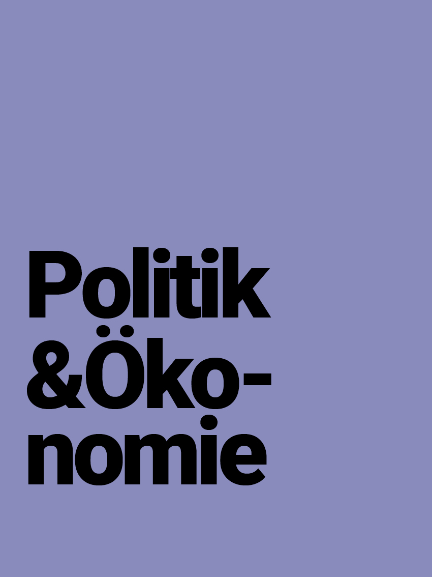 Politik und Ökonomie 